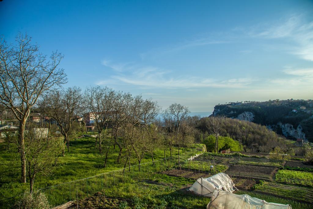 Da Zia Adele Hotell Agerola Rom bilde